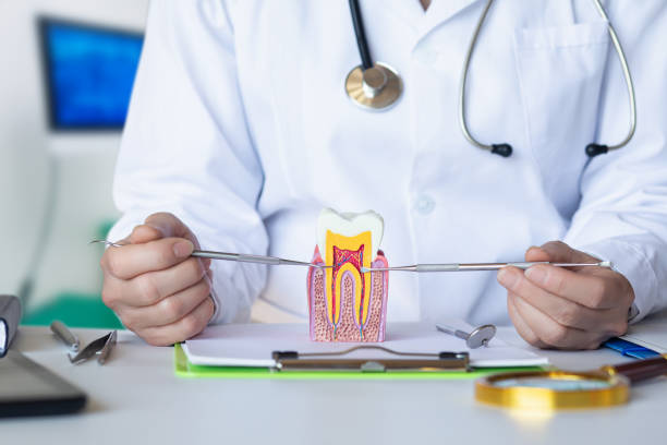 Best Chipped Tooth Repair Near Me  in Wallace, FL